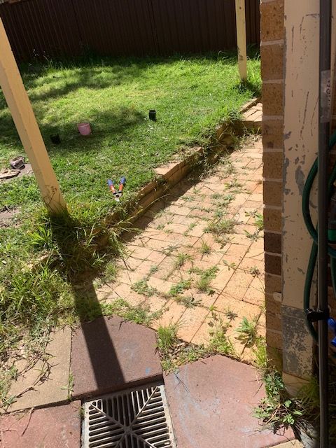 IMG_3843.jpg IMG_3843.jpg