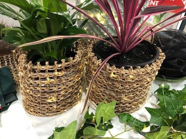 Image 2.jpg Image 2.jpg