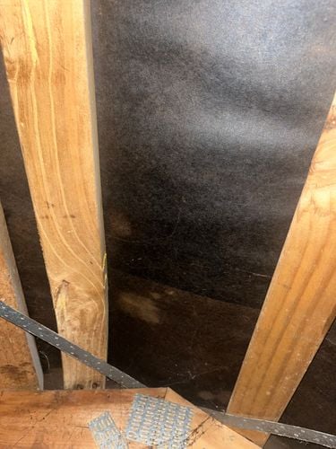 IMG_9352.jpeg IMG_9352.jpeg