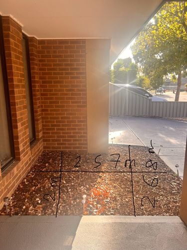 IMG_2553.jpeg IMG_2553.jpeg