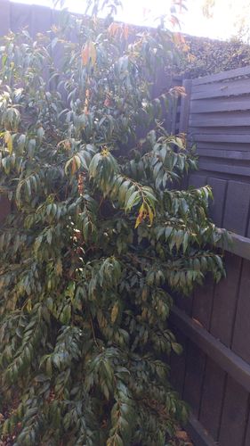 16983783327063290414391378066053.jpg 16983783327063290414391378066053.jpg