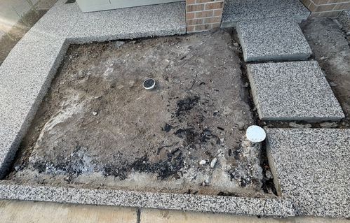 IMG_7533.jpeg IMG_7533.jpeg