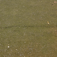 ConcreteDriveway.png ConcreteDriveway.png