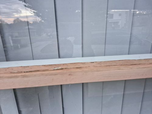 1000085081.jpg 1000085081.jpg