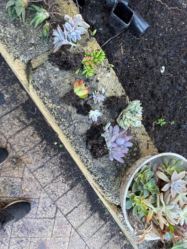 IMG_1211.jpeg IMG_1211.jpeg