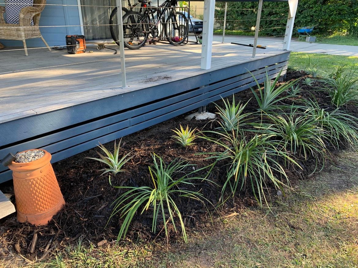 IMG_5996.jpg IMG_5996.jpg