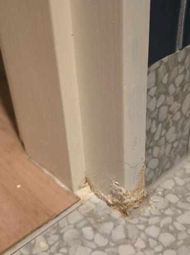 Yangaz_0-1744542354944.png Yangaz_0-1744542354944.png