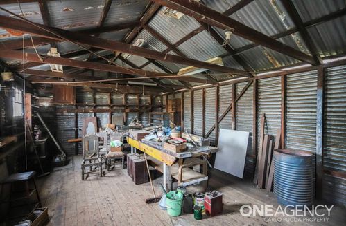 IMG_6773.jpeg IMG_6773.jpeg