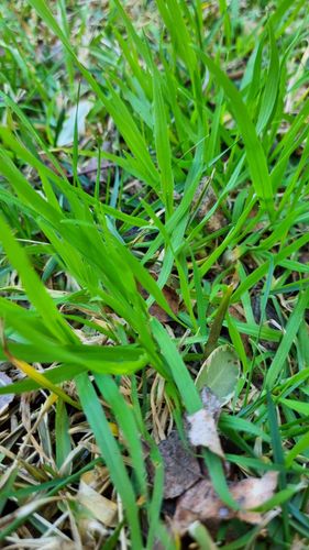 1000030890.jpg 1000030890.jpg