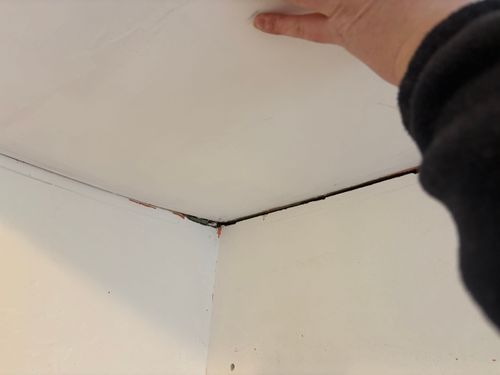 IMG_9338.jpeg IMG_9338.jpeg