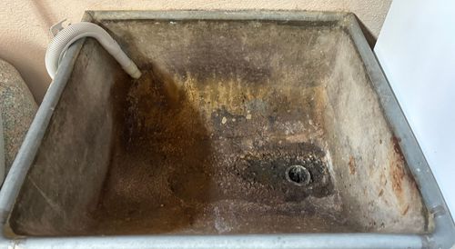 IMG_0713.jpeg IMG_0713.jpeg