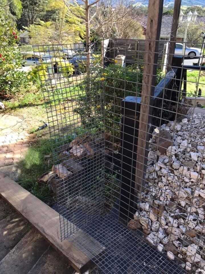 10 07-08-2021.jpg 10 07-08-2021.jpg