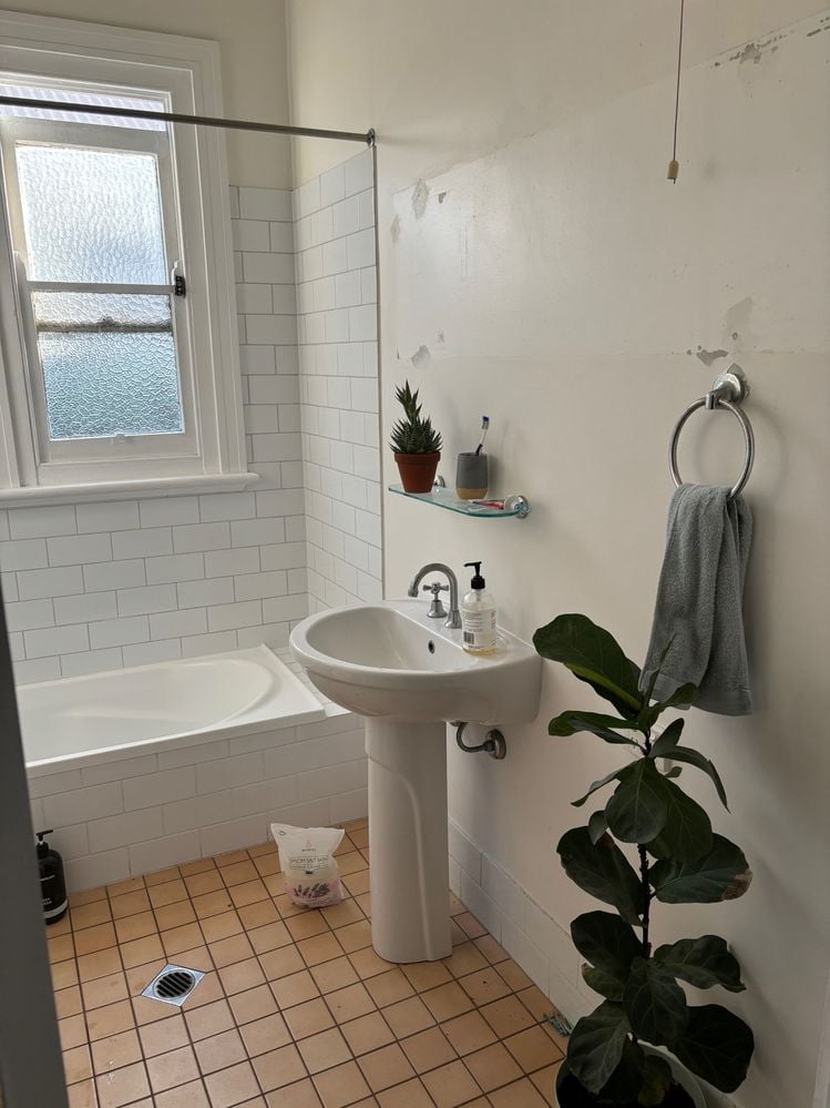 IMG_0035 (1).jpg IMG_0035 (1).jpg