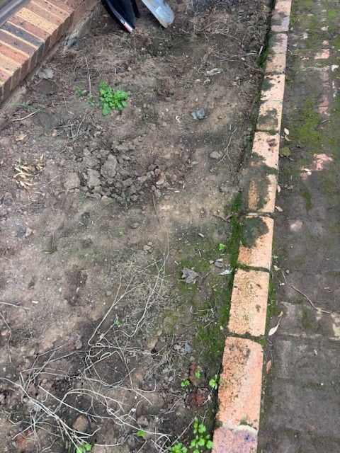 IMG_1575.jpg IMG_1575.jpg