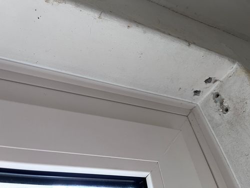 IMG_2497.jpeg IMG_2497.jpeg