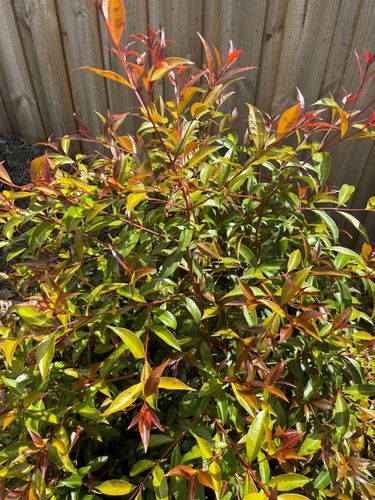 IMG_2215.jpeg IMG_2215.jpeg