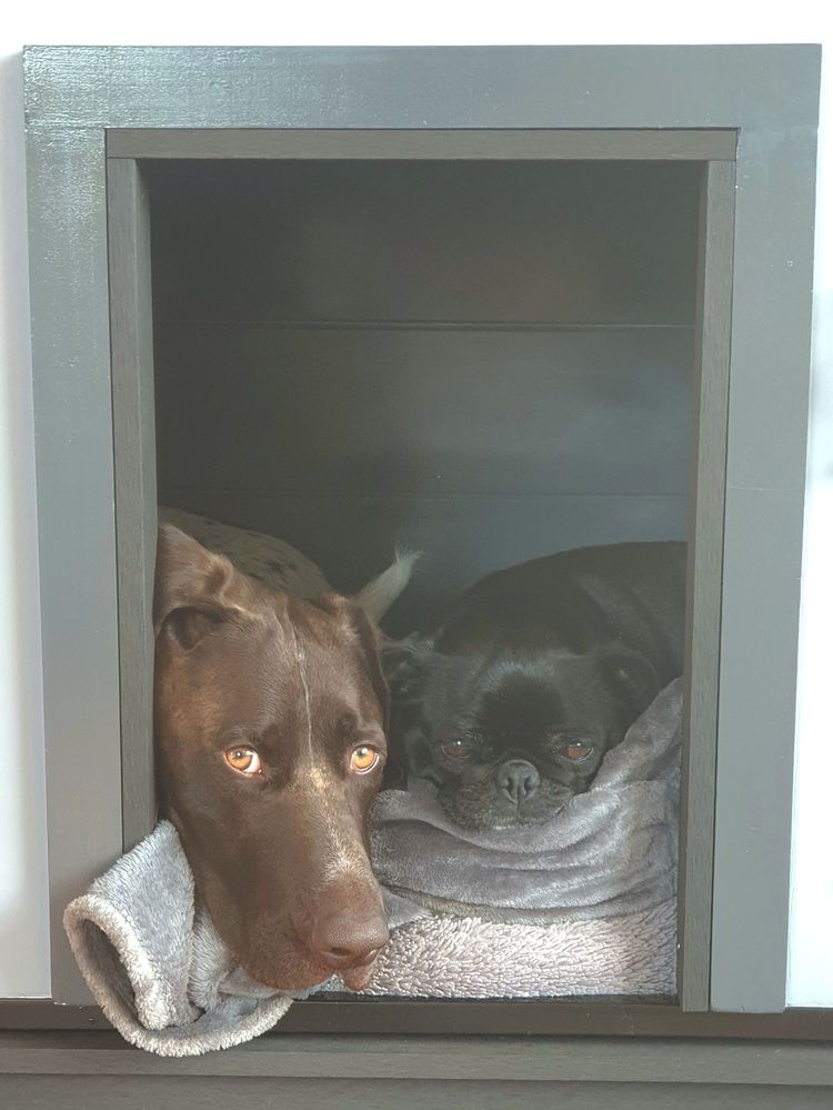 20220709_135147.jpg 20220709_135147.jpg