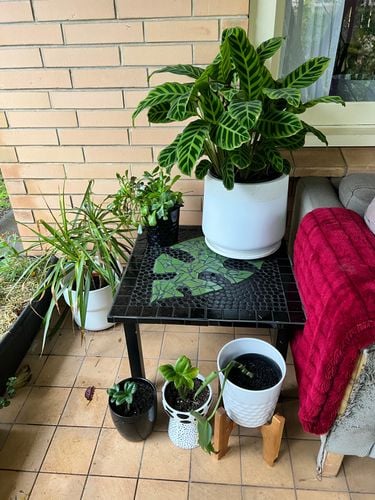 F14D7FE8-E11E-444A-8F3E-FF2469CC8DA3.jpeg F14D7FE8-E11E-444A-8F3E-FF2469CC8DA3.jpeg