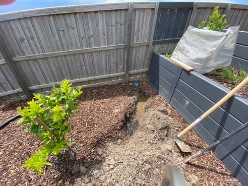 4144BB8C-3309-4EFB-B157-E15FE07ED801.jpeg 4144BB8C-3309-4EFB-B157-E15FE07ED801.jpeg