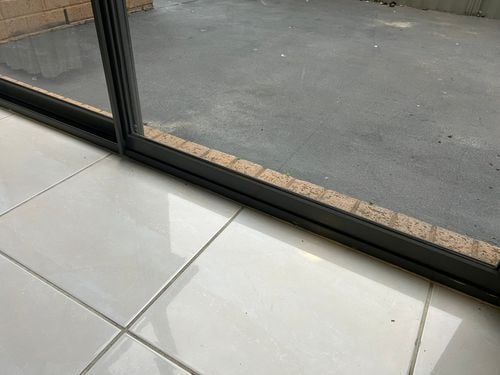 IMG_3167.jpeg IMG_3167.jpeg