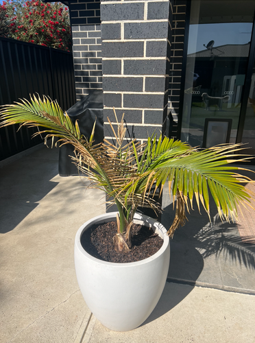 Murlun_0-1728538460997.png Murlun_0-1728538460997.png