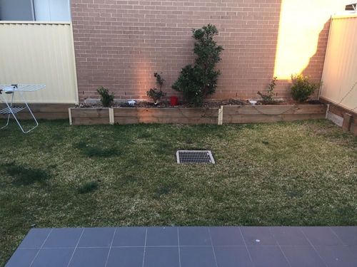 CBF95BEF-3B01-41BD-96A1-50BE14A0C4DF-1000.jpg CBF95BEF-3B01-41BD-96A1-50BE14A0C4DF-1000.jpg