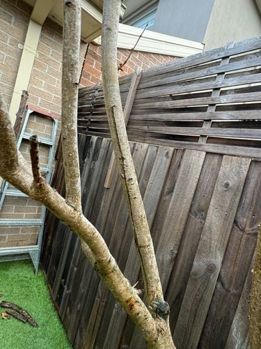 IMG_4548.jpeg IMG_4548.jpeg