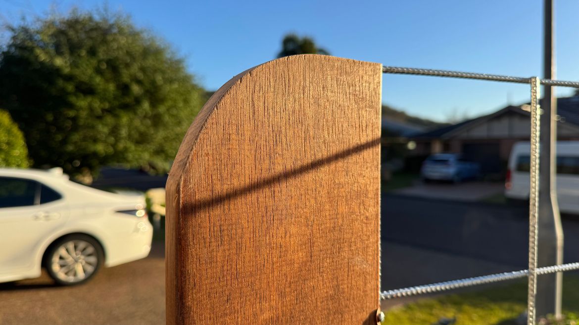 IMG_9807.jpg IMG_9807.jpg