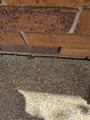 1000014902.jpg 1000014902.jpg