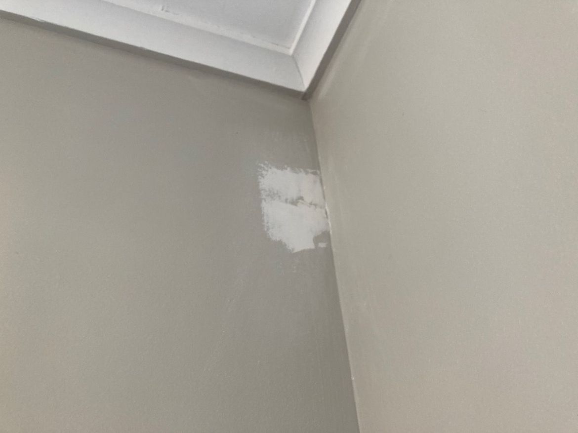 IMG_0242.jpeg IMG_0242.jpeg