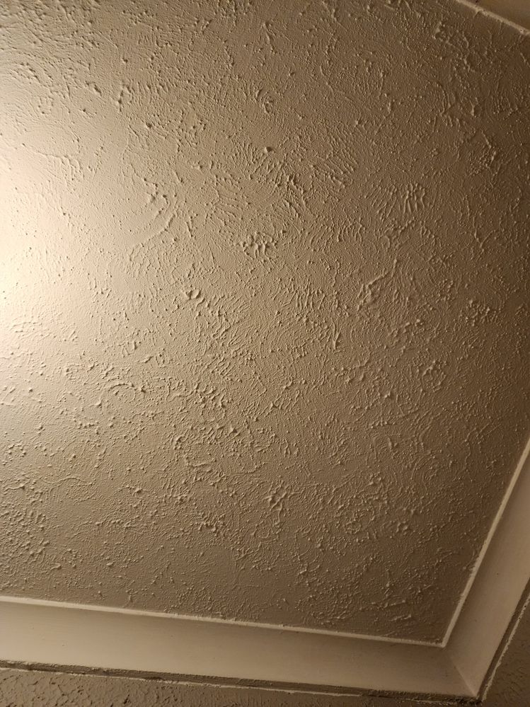 20240725_175419 (1).jpg 20240725_175419 (1).jpg