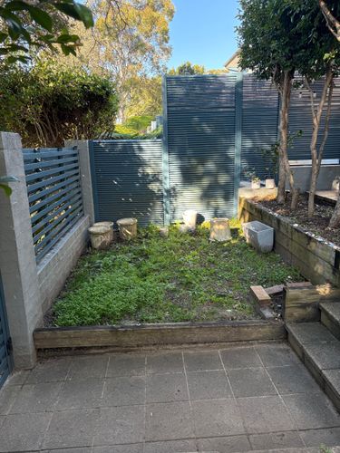 IMG_1185.jpeg IMG_1185.jpeg