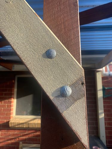 IMG_9818.jpeg IMG_9818.jpeg