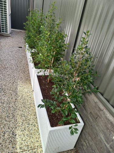 20250406_102748.jpg 20250406_102748.jpg