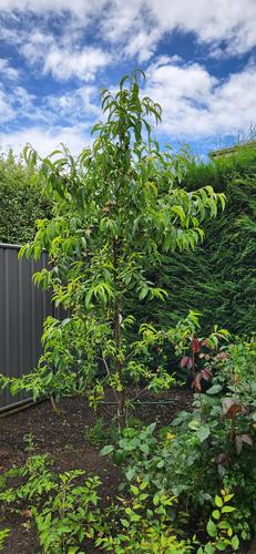 20221116_120156.jpg 20221116_120156.jpg