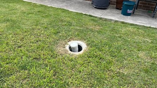 IMG_6350.jpeg IMG_6350.jpeg