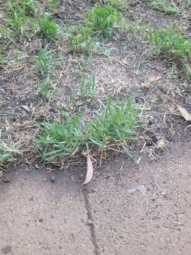 20250223_195801.jpg 20250223_195801.jpg