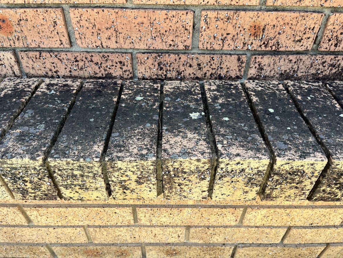 IMG_8378.jpg IMG_8378.jpg