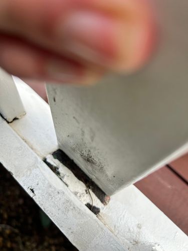 IMG_6516.jpeg IMG_6516.jpeg