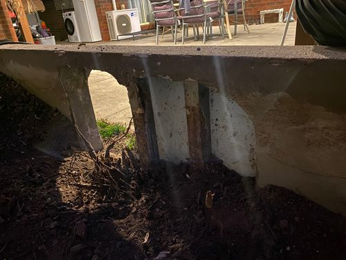 IMG_3496.jpeg IMG_3496.jpeg