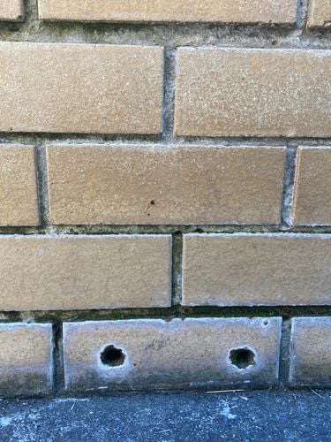 IMG_4915.jpeg IMG_4915.jpeg