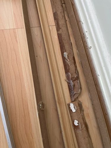 IMG_1248.jpeg IMG_1248.jpeg