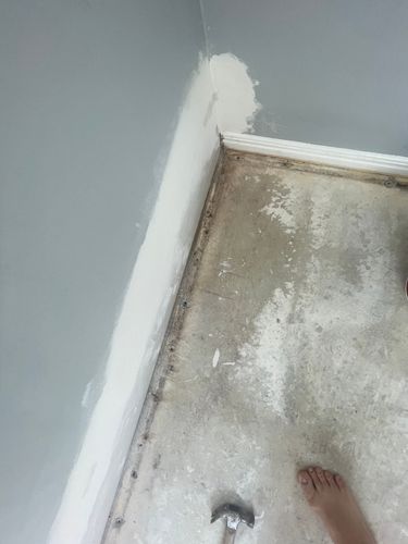 IMG_8117.jpeg IMG_8117.jpeg