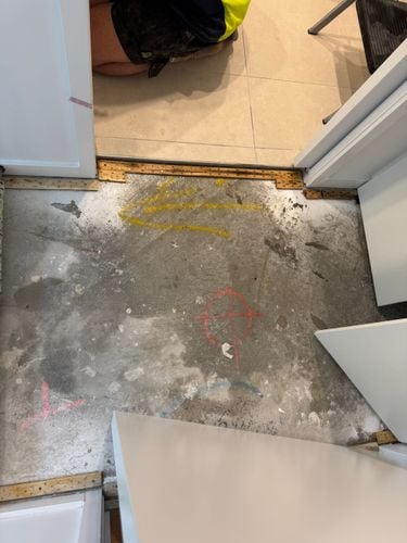 IMG_4749.jpeg IMG_4749.jpeg