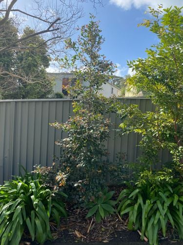 IMG_8056.jpeg IMG_8056.jpeg