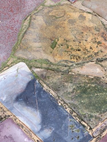 20241001_162418.jpg 20241001_162418.jpg