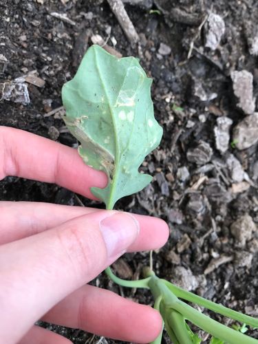 B4ABE4FD-F89D-47CC-ACAC-5933EB8FF9D1.jpeg B4ABE4FD-F89D-47CC-ACAC-5933EB8FF9D1.jpeg