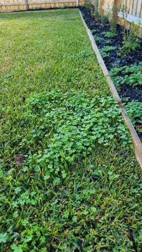 1000035858.jpg 1000035858.jpg