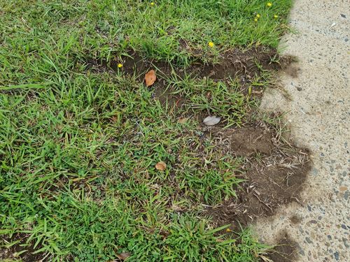 20251216_093622.jpg 20251216_093622.jpg