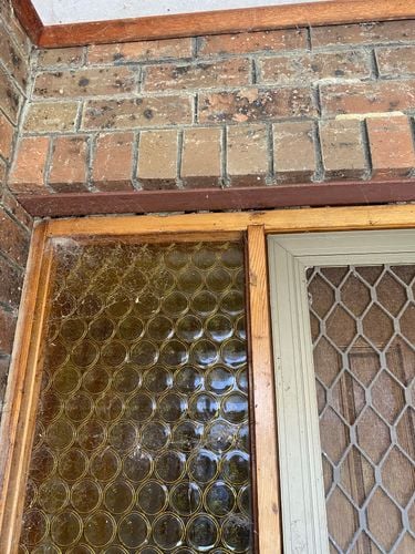 IMG_5609.jpeg IMG_5609.jpeg